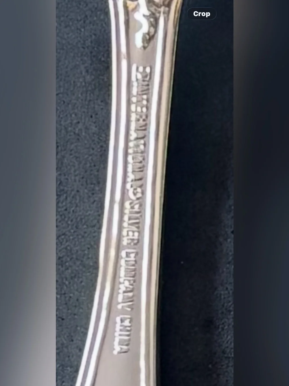 New French Rose Ornate Silver plated Serving Flatware Serving Set of 8 +3 server